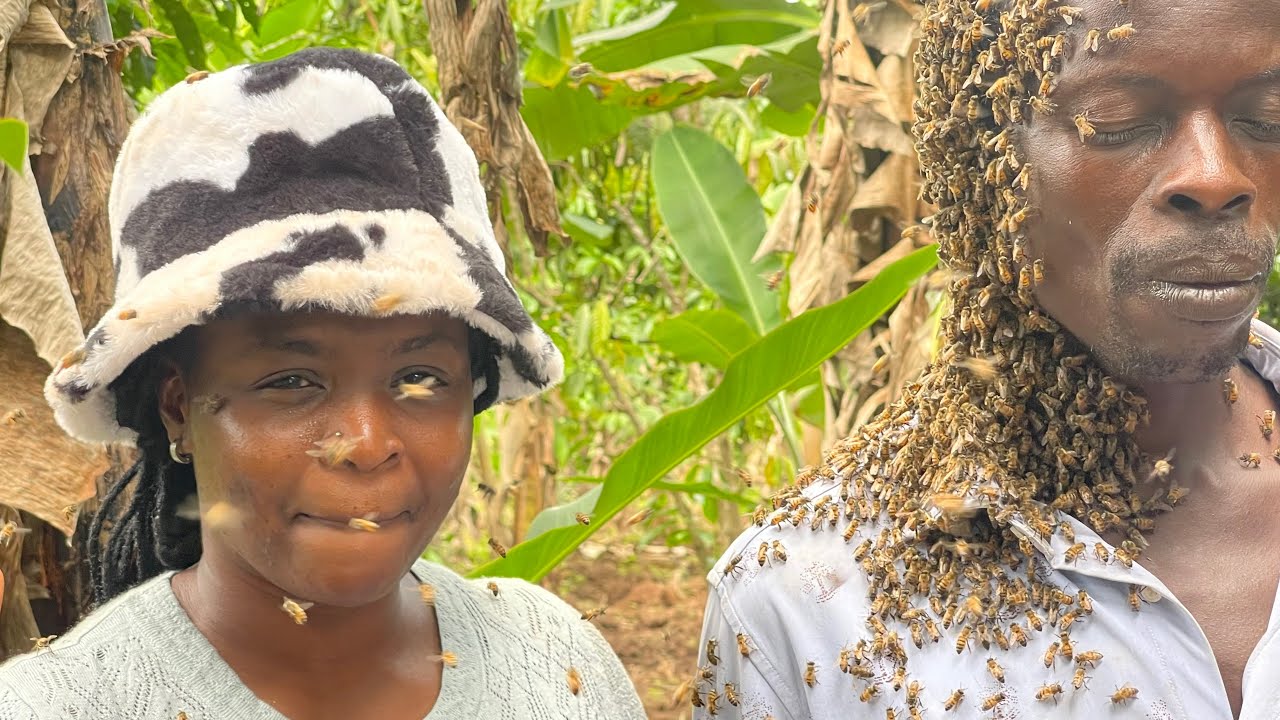 Bee-Ware Thieves: Masunga Doctors Supernatural Swarm Strikes Fear into Criminals, Retrieves Stolen Goods with a Buzz!